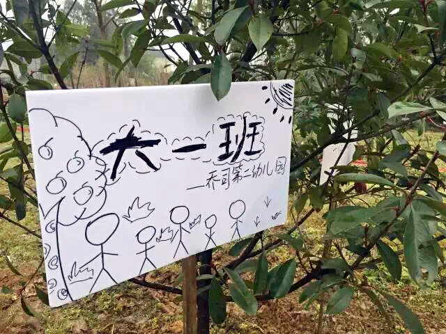xxxxxxxx莫干山夏令营营地：植树节活动